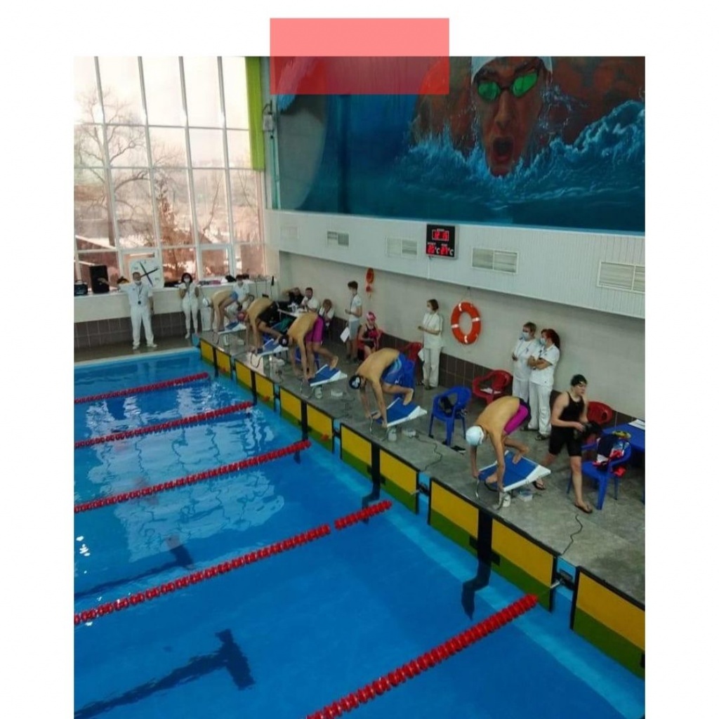 Результаты чемпионата Липецкой области по плаванию 