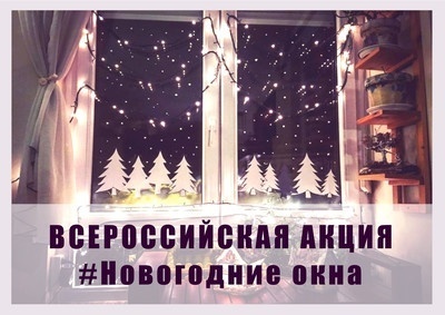 В Липецке стартовала акция «Новогодние окна» 