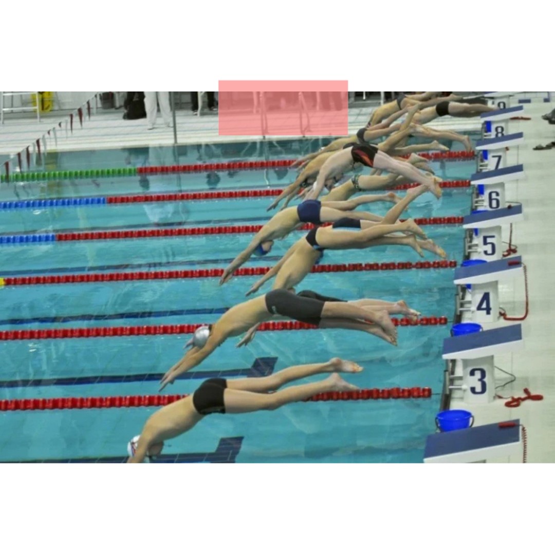 Липецкие пловцы завоевали три медали чемпионата ЦФО