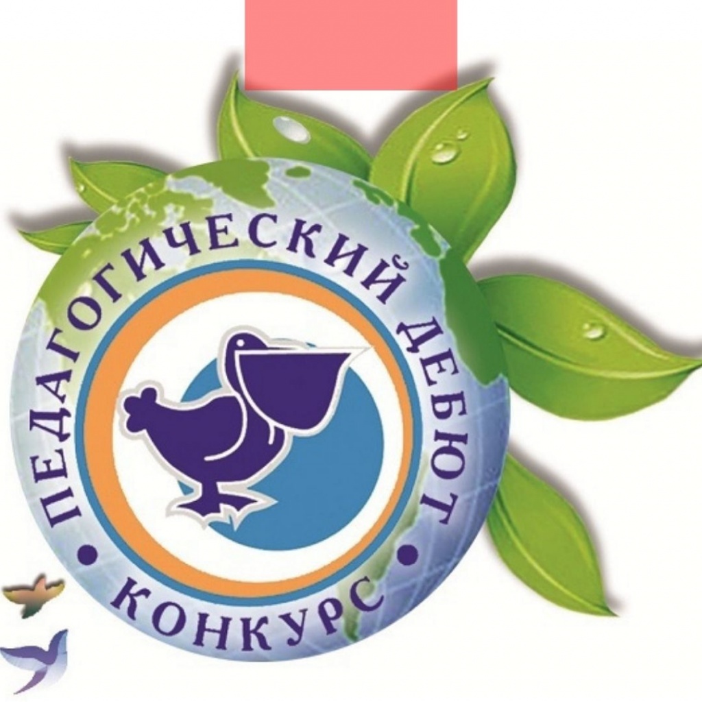 Педагог из Ельца стала финалистом всероссийского конкурса «Педагогический дебют — 2021» 